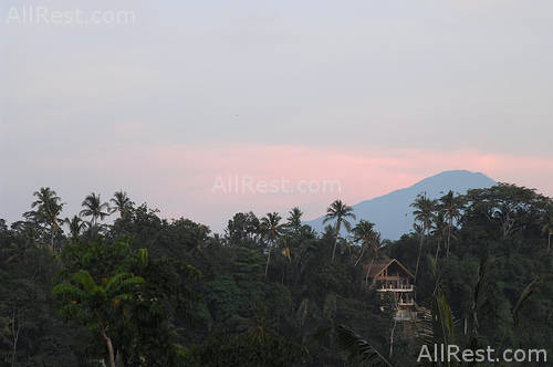 Amandari Ubud resort 15